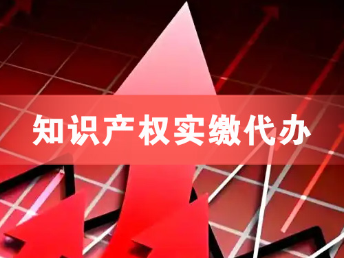 简阳知识产权实缴资本代办